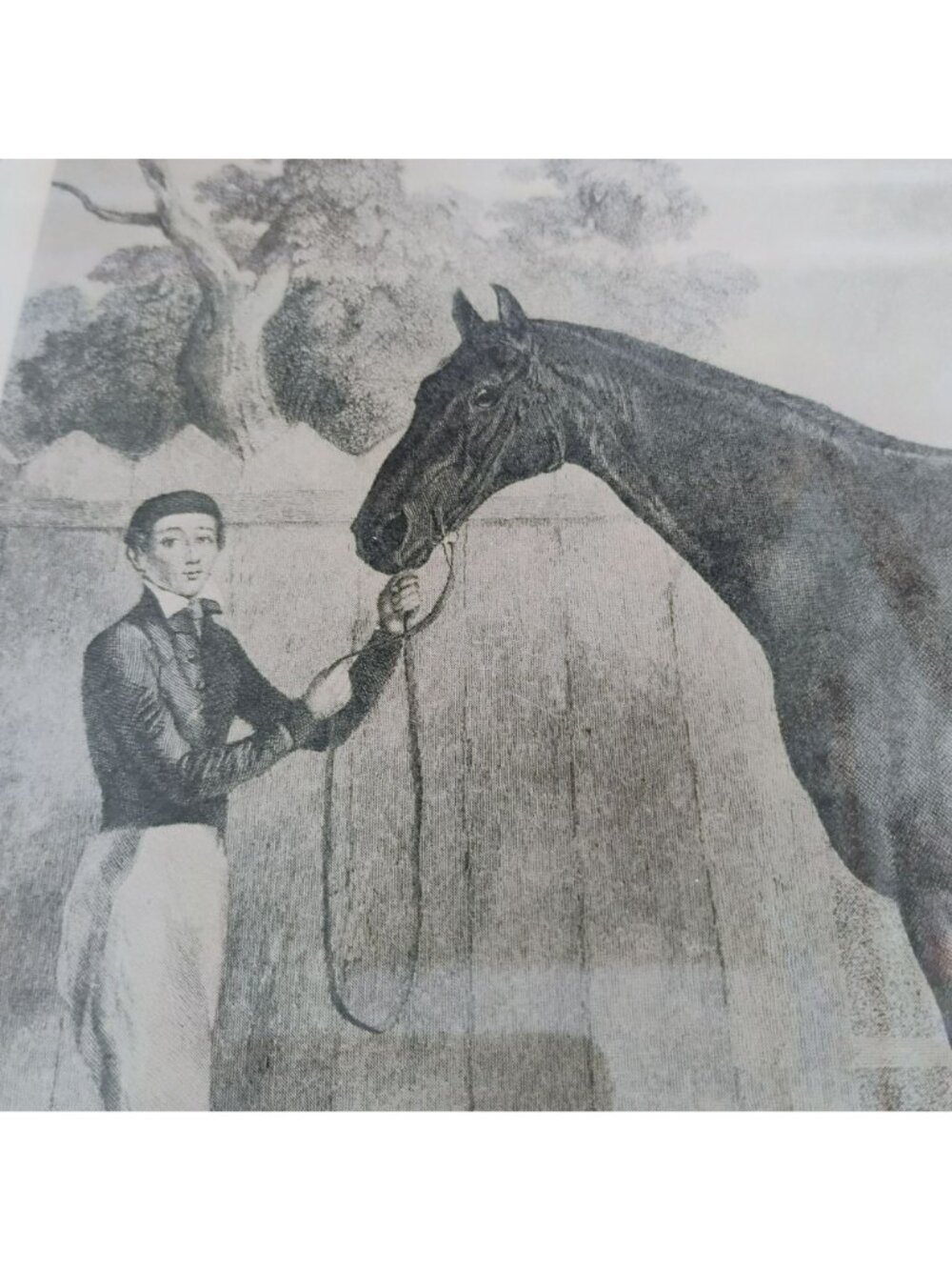 Vintage Framed Equestrian Horse Art Prints - Set of 4 Gallery Wall Decor - Picture 11 of 16